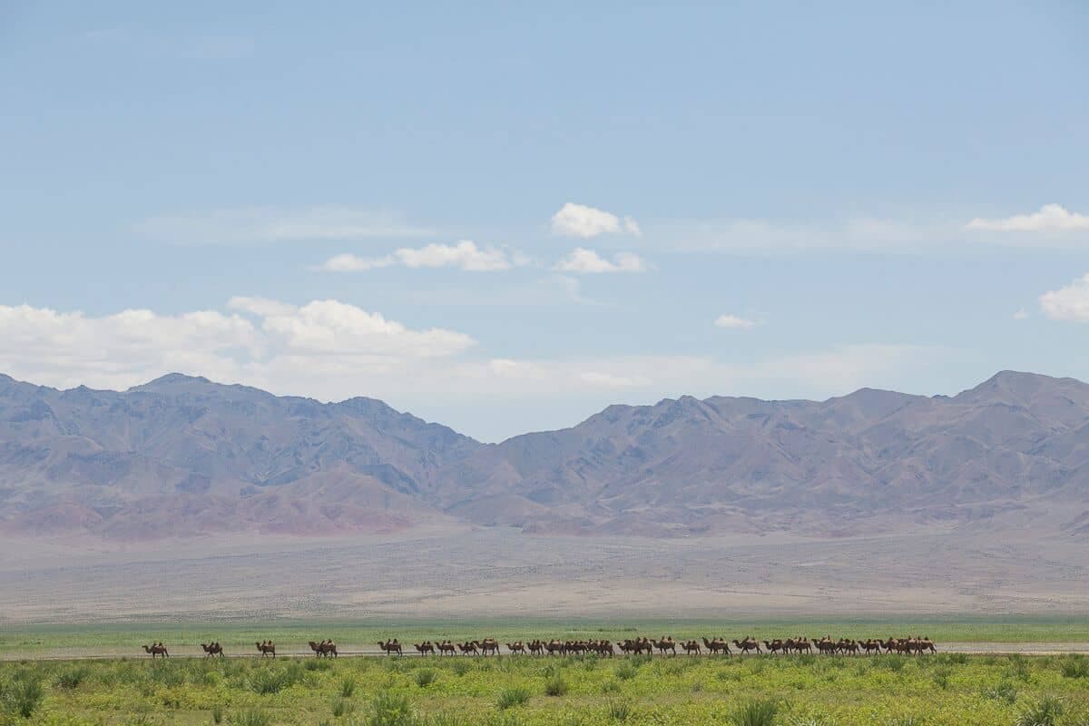 Gobi and Kharkhorin Tour