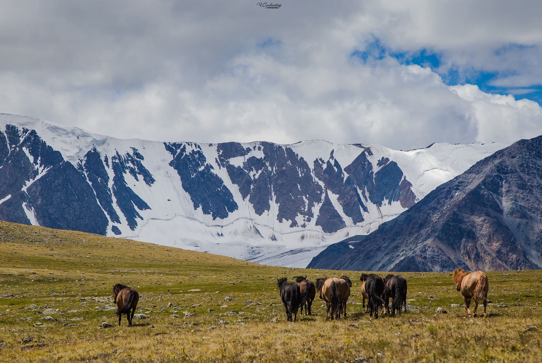 Western Mongolia