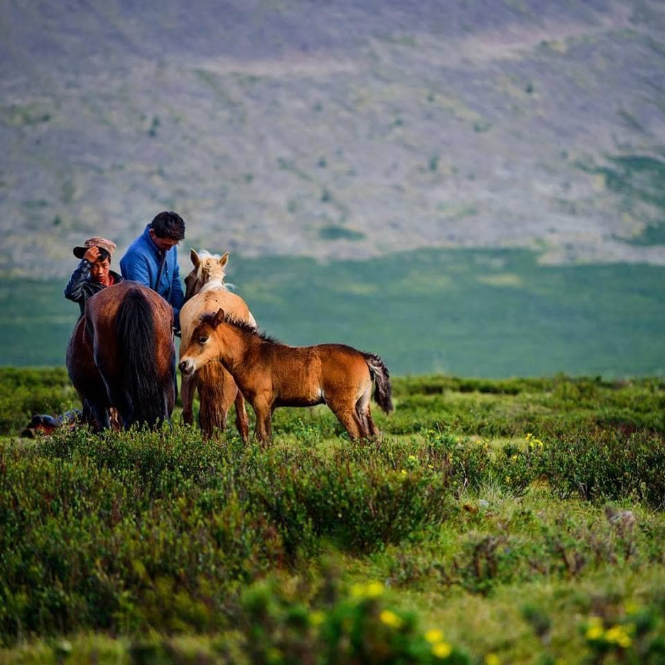 Khuvsgul Lake Tour