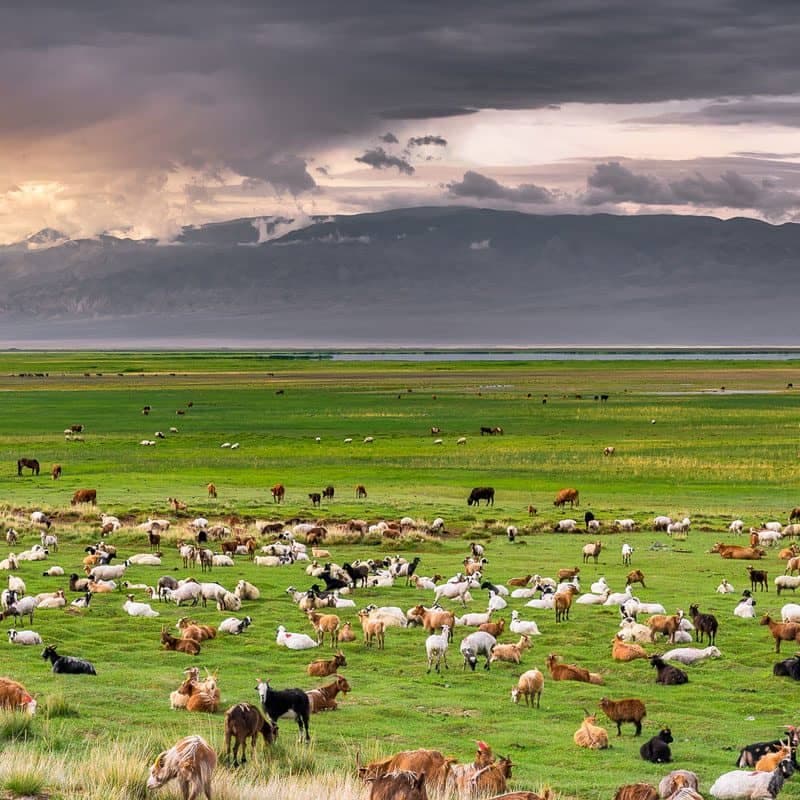 Central & Northern Mongolia
