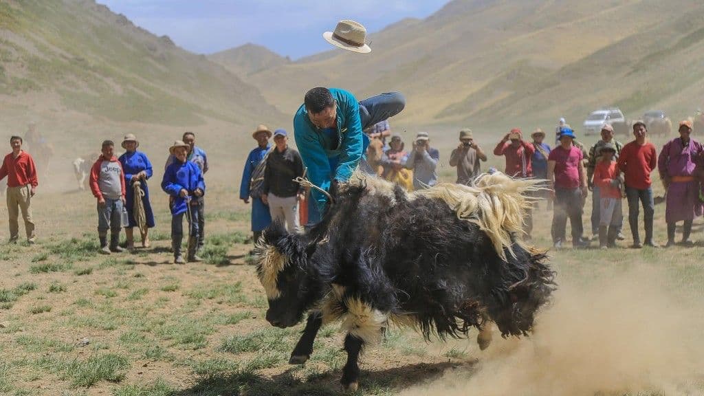 Yak Festival