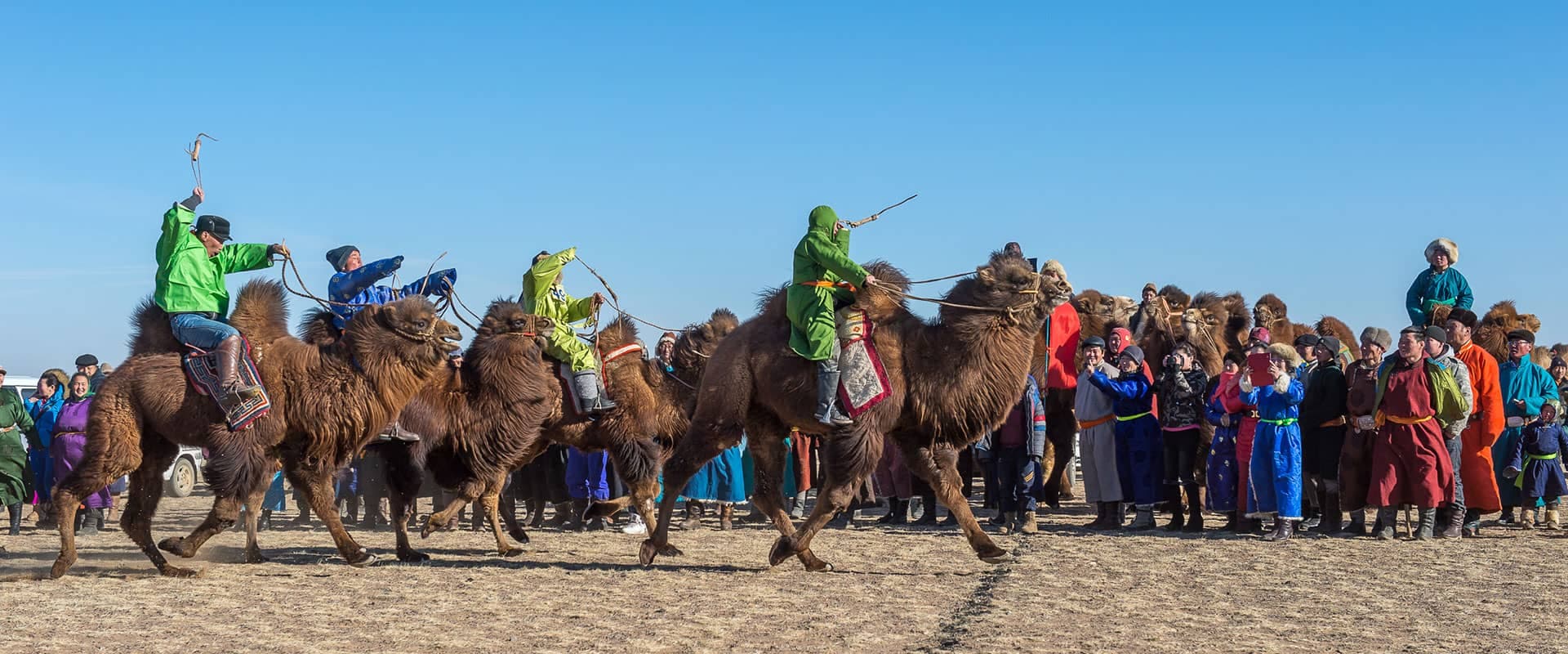Camel Festival
