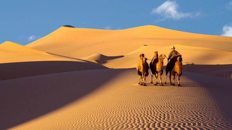 Gobi Desert