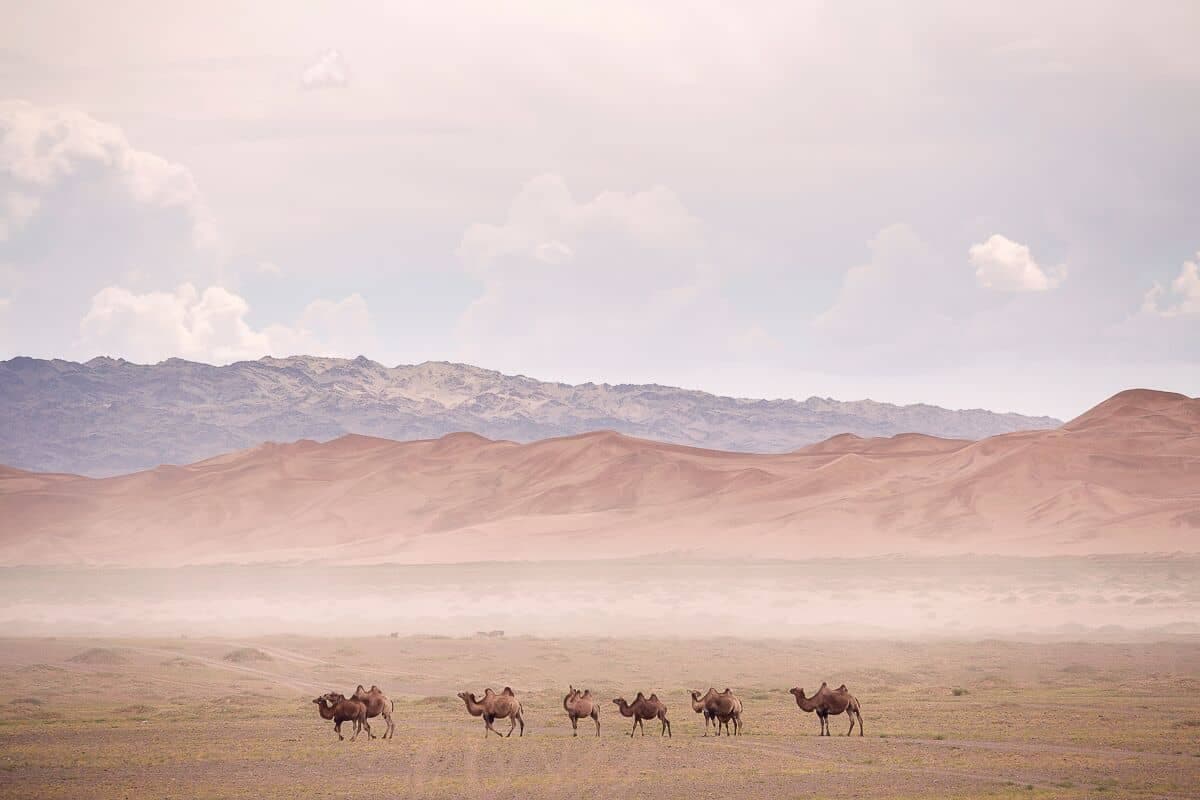 Gobi & Central Tour