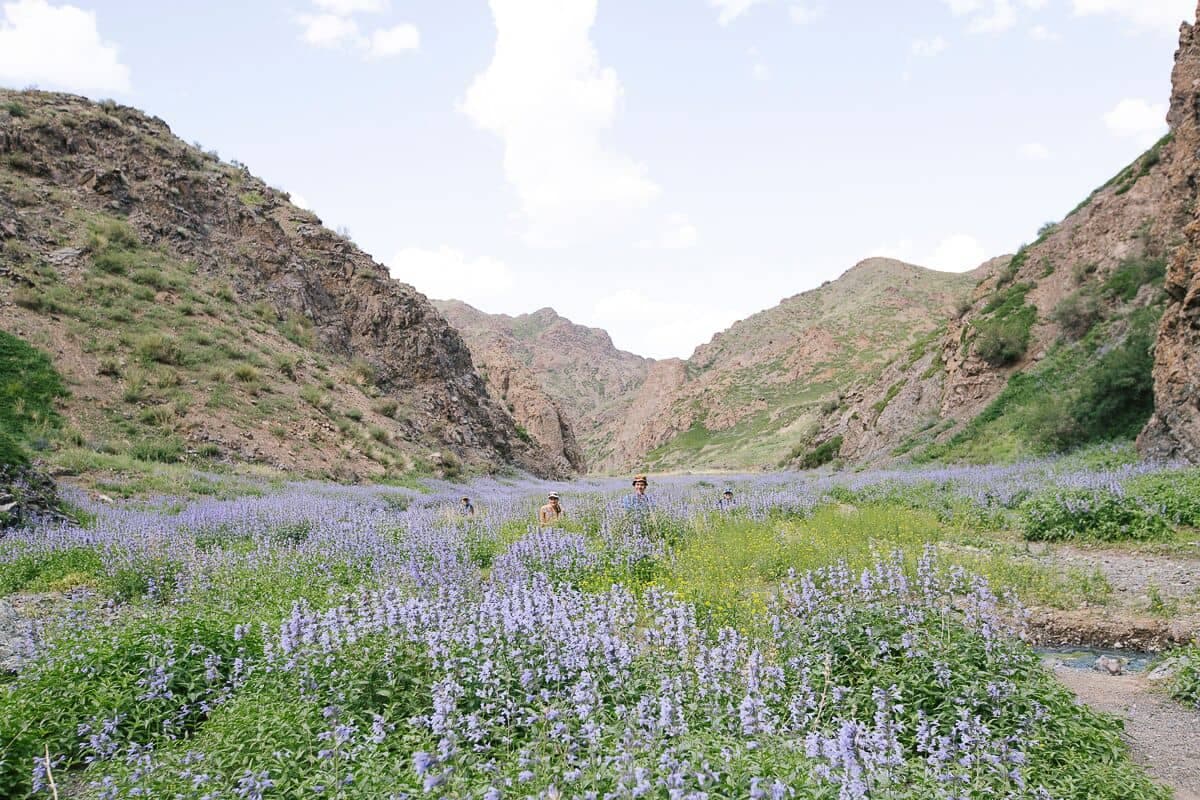 Gobi & Central Tour