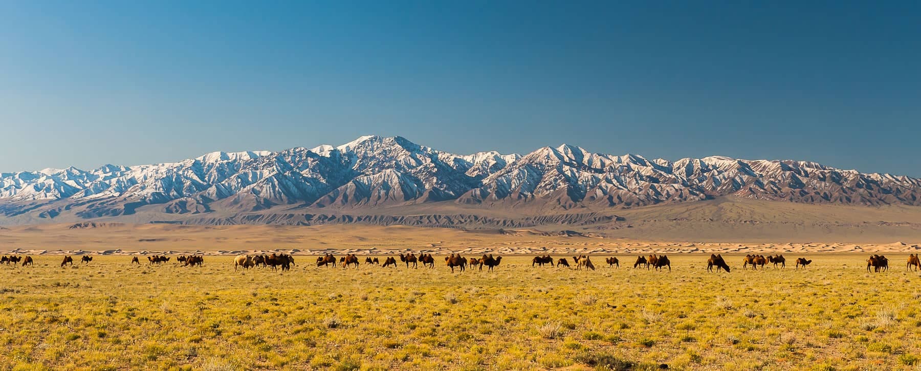 Mongolian landscape